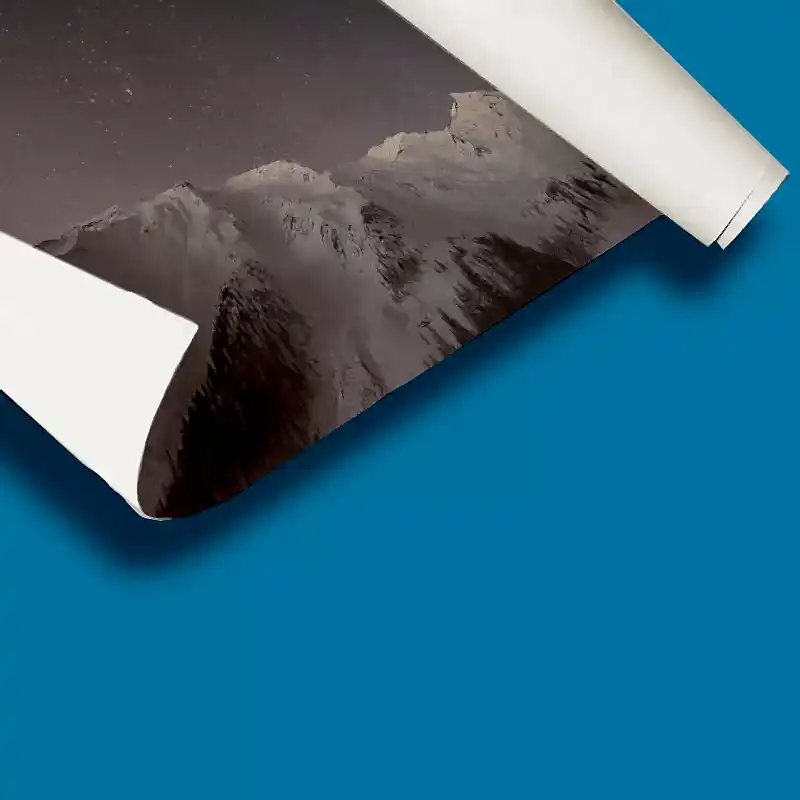 Custom Printed Unmounted Canvas Printing Nest