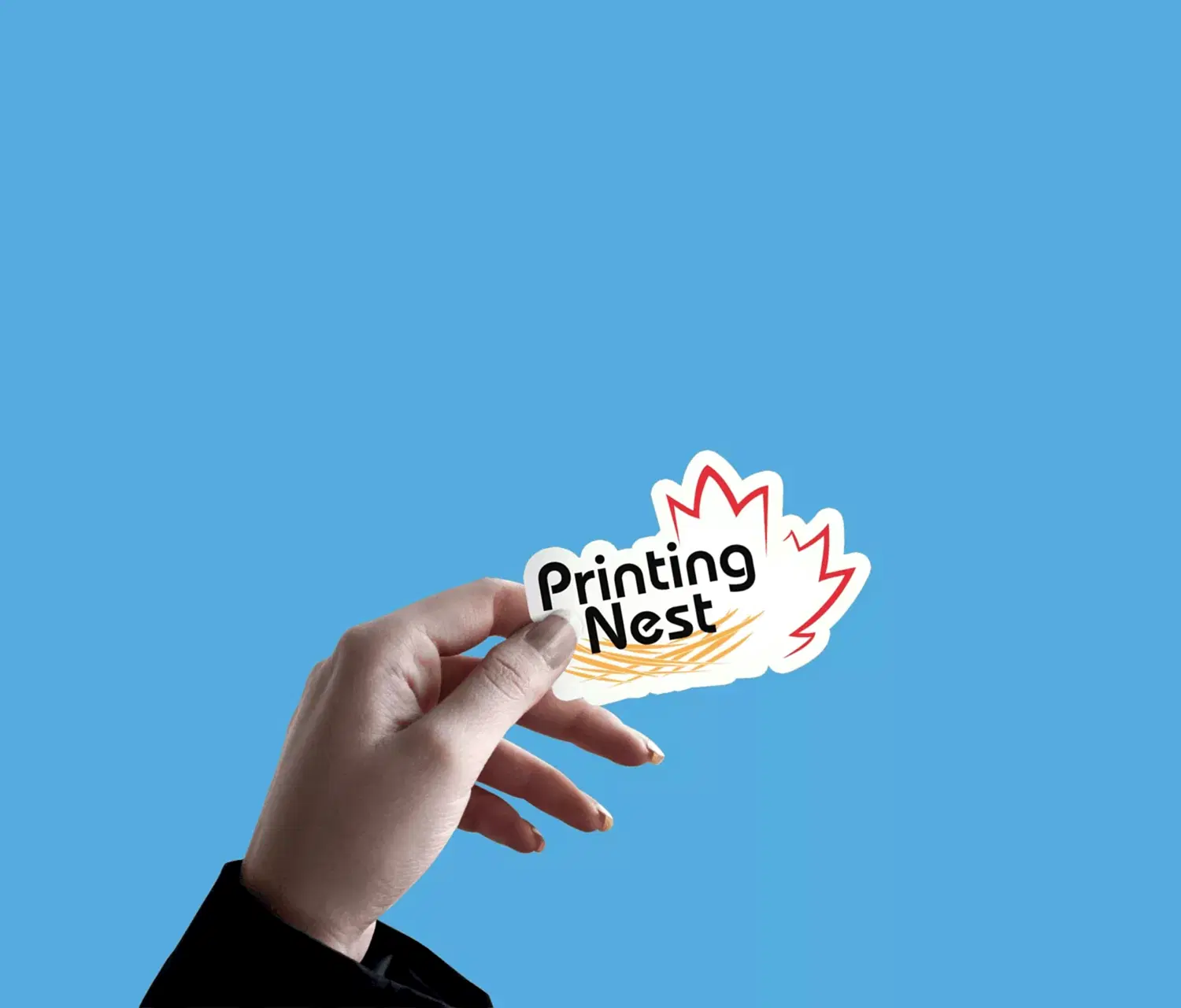 Custom Printed Kiss Cut Stickers Printing Nest