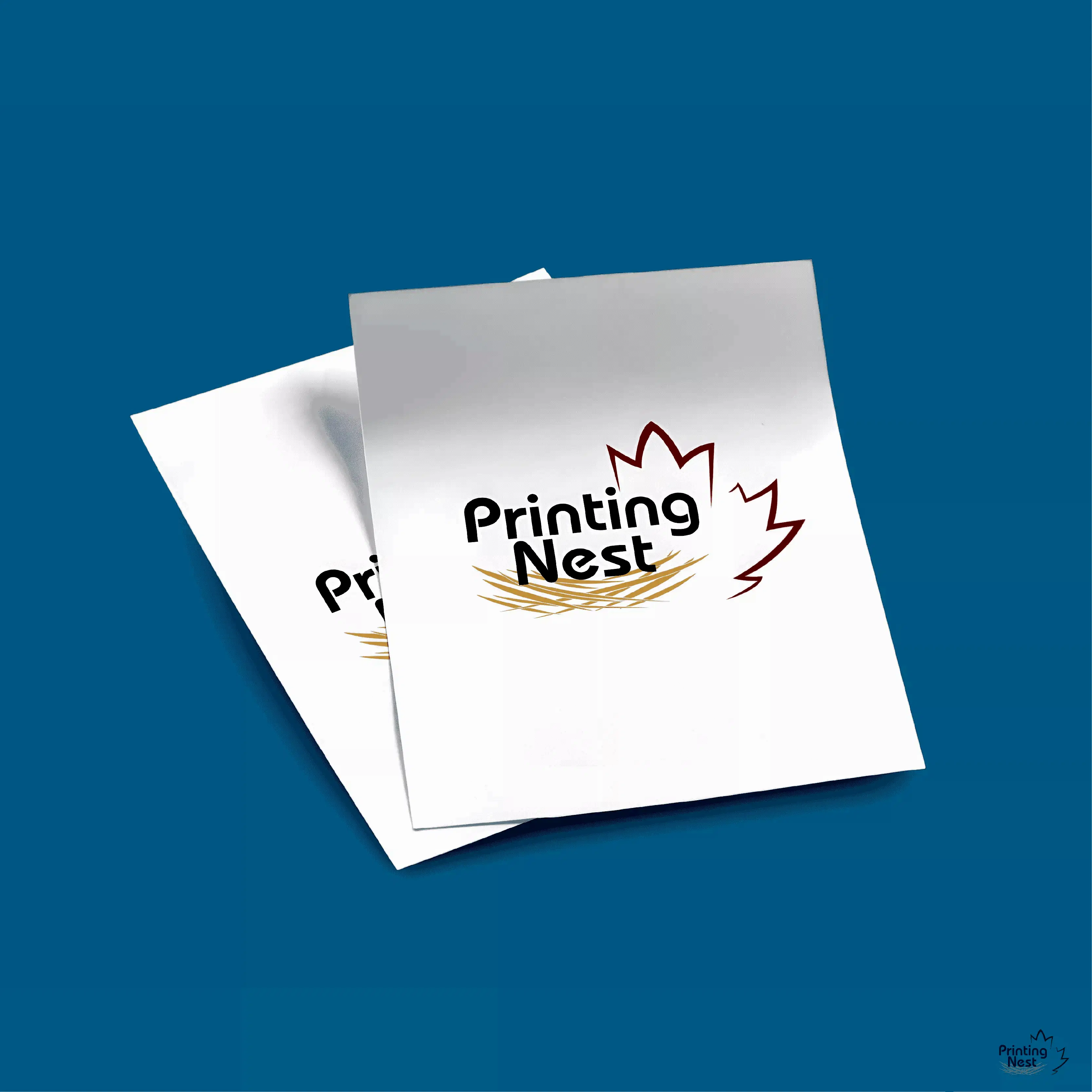 Custom Fairgrounds and Markets Printed Flyers Printing Nest