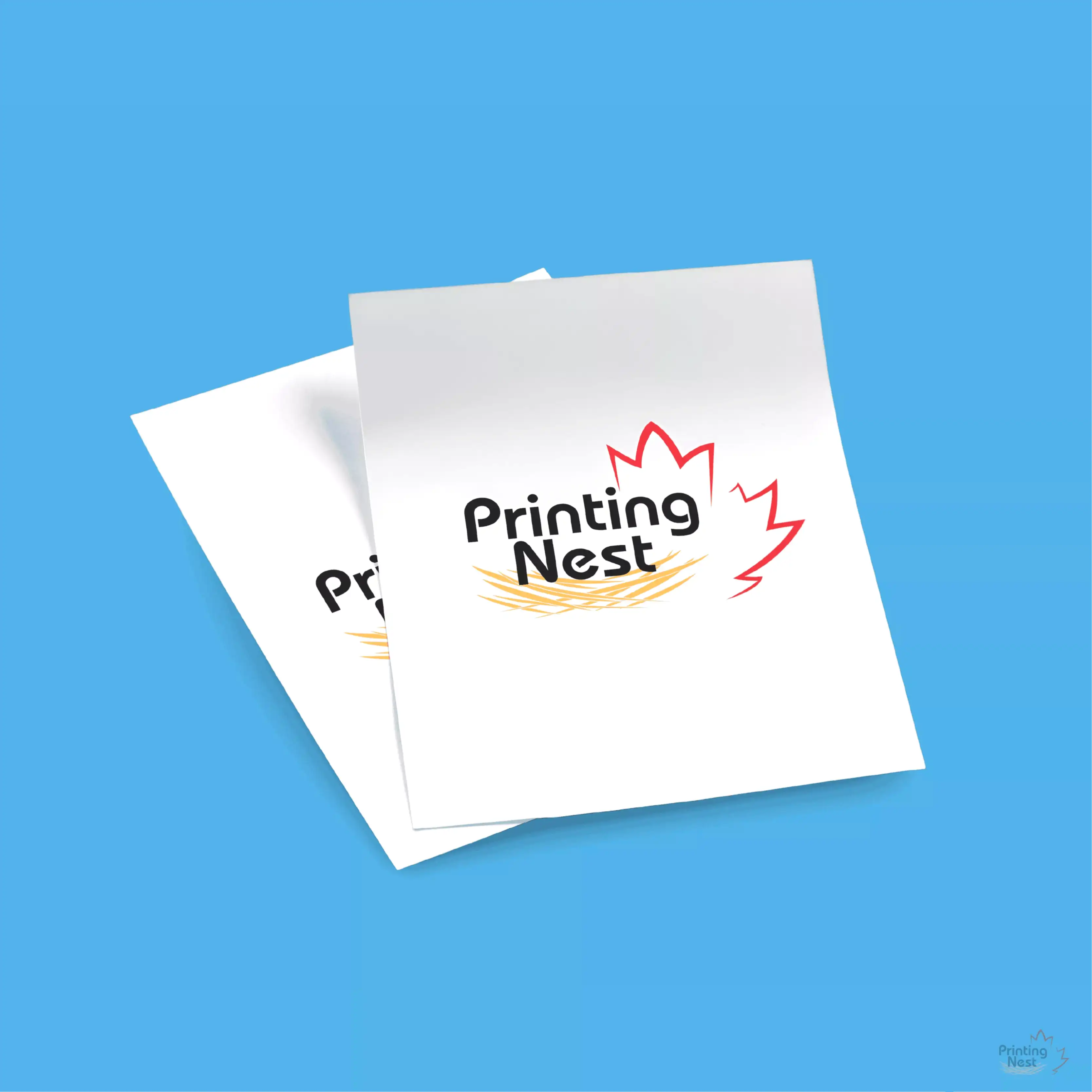 Custom Printed Trade Show and Convention Flyers Printing Nest