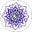 Holistic Products Amber